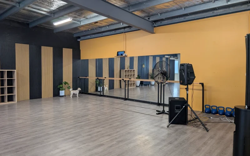 Lux Fitness & Dance Studio 11