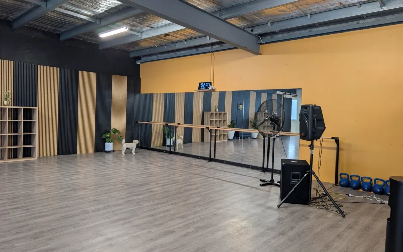 Lux Fitness & Dance Studio 12