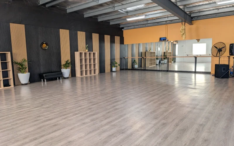 Lux Fitness & Dance Studio 15